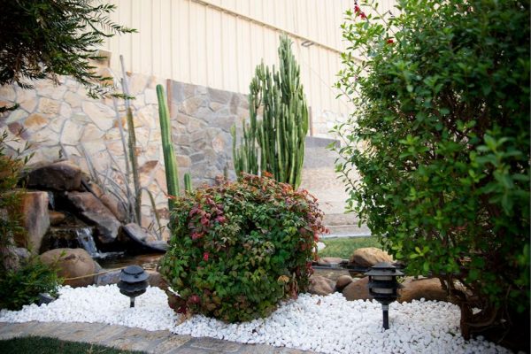 Himalaya White Natural Pebbles - Image 4