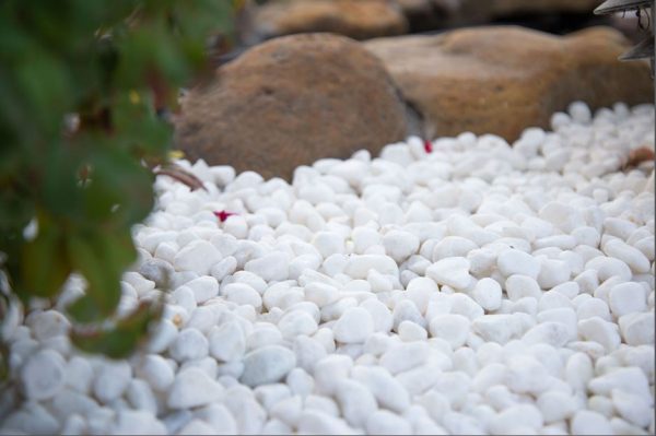 Himalaya White Natural Pebbles - Image 7